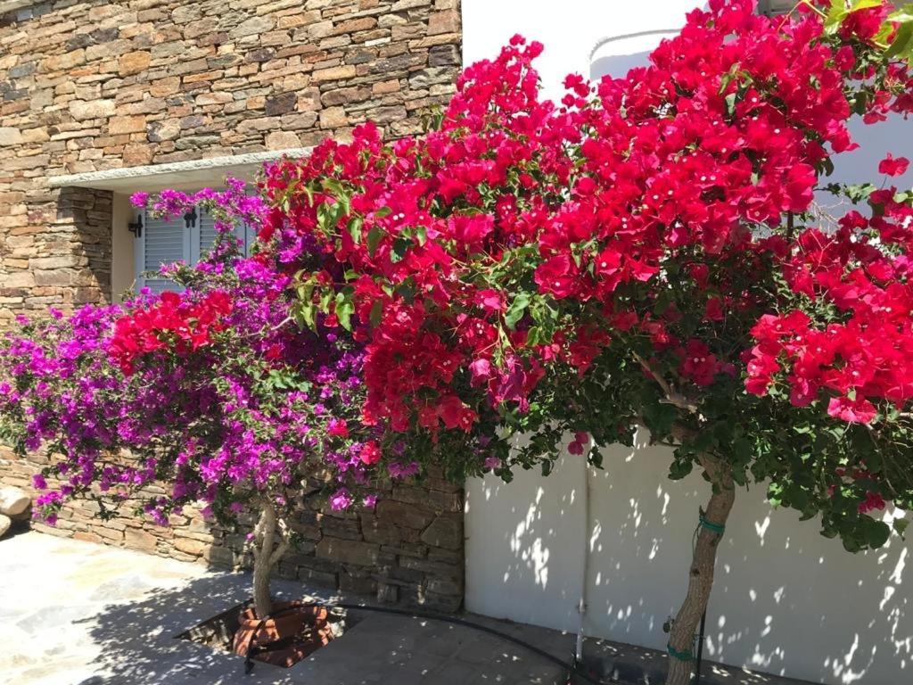 Villa Oikia Petra Agios Ioannis  Exterior foto